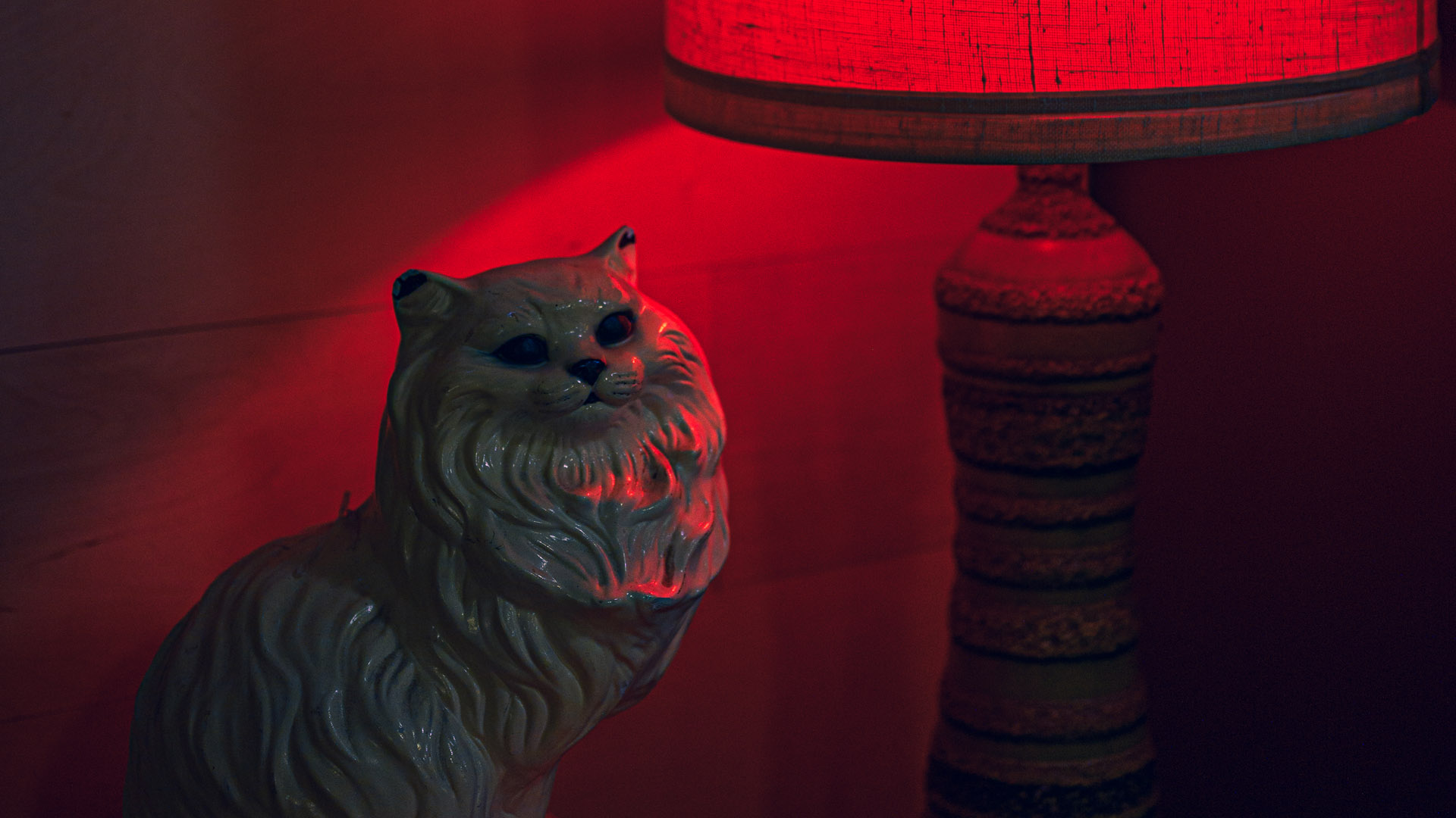 Porcelain cat bathed in red light next to a lamp.